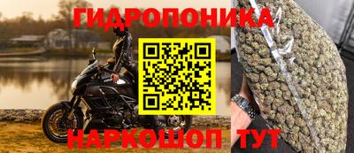 крисы Кандалакша